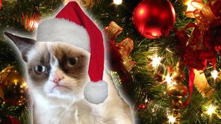 Grumpy Cat's Worst Christmas Ever trailer | DAILY REHASH | Ora TV