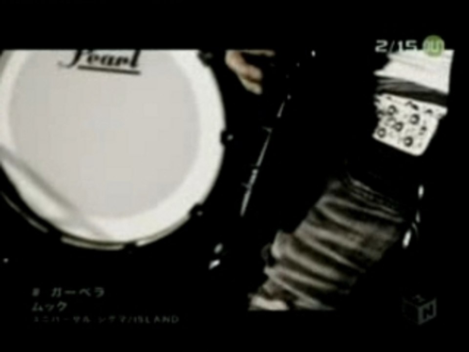 Mucc - Gerbera