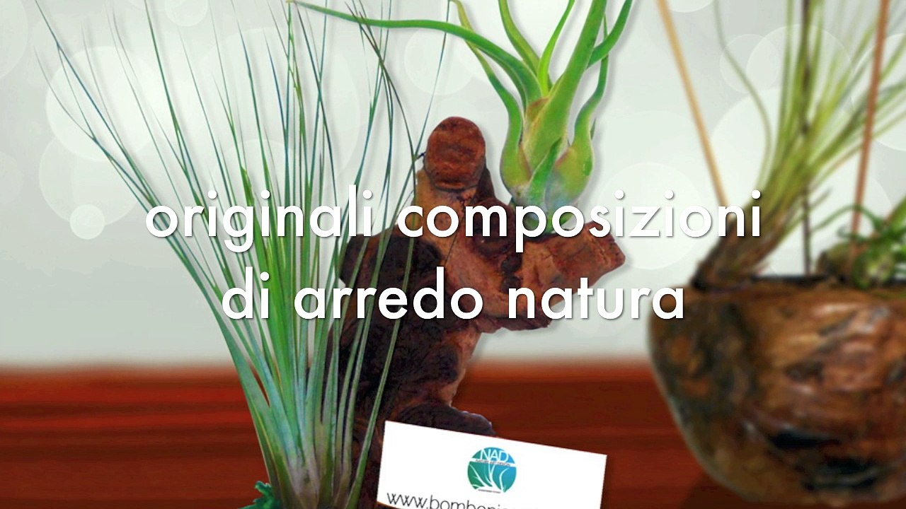 PTL GROUP - APRIRE FRANCHISING - NAD NATURE ART DESIGN - BOMBONIERE VIVENTI