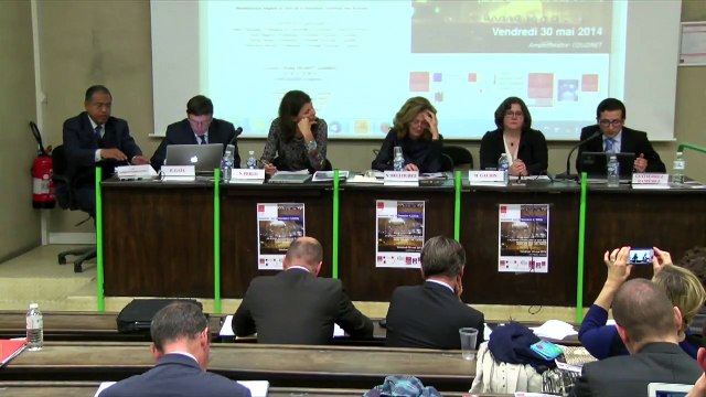 Unité et divergences de jurisprudences constitutionnelles et supranationales : respect du droit, irrégularités et dialogues (table ronde), Luis-Miguel Gutierrez Ramirez, doctorant à l'Université Toulouse 1 Capitole