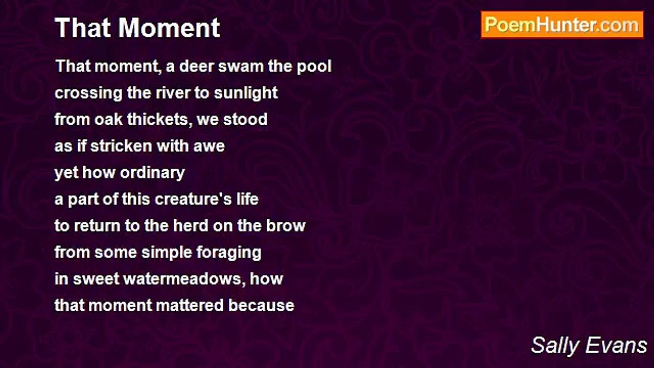 Sally Evans - That Moment