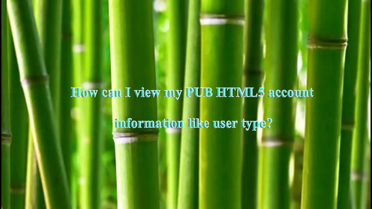 Where and how can I view my PUB HTML5 account informatioin?