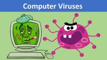 Computer Viruses and Protections