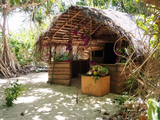 Johnny Moriau - ll tape sur des bambous