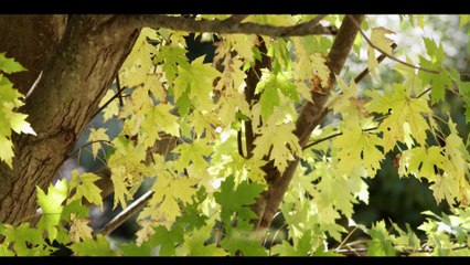 Chandralekha's New Malayalam Christian song Oronninum Oro Samayam Holy Spirit 2014