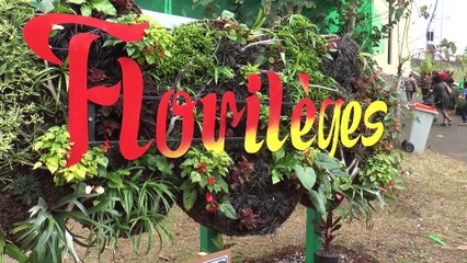 Florilèges 2014 : Le Mur Végétal
