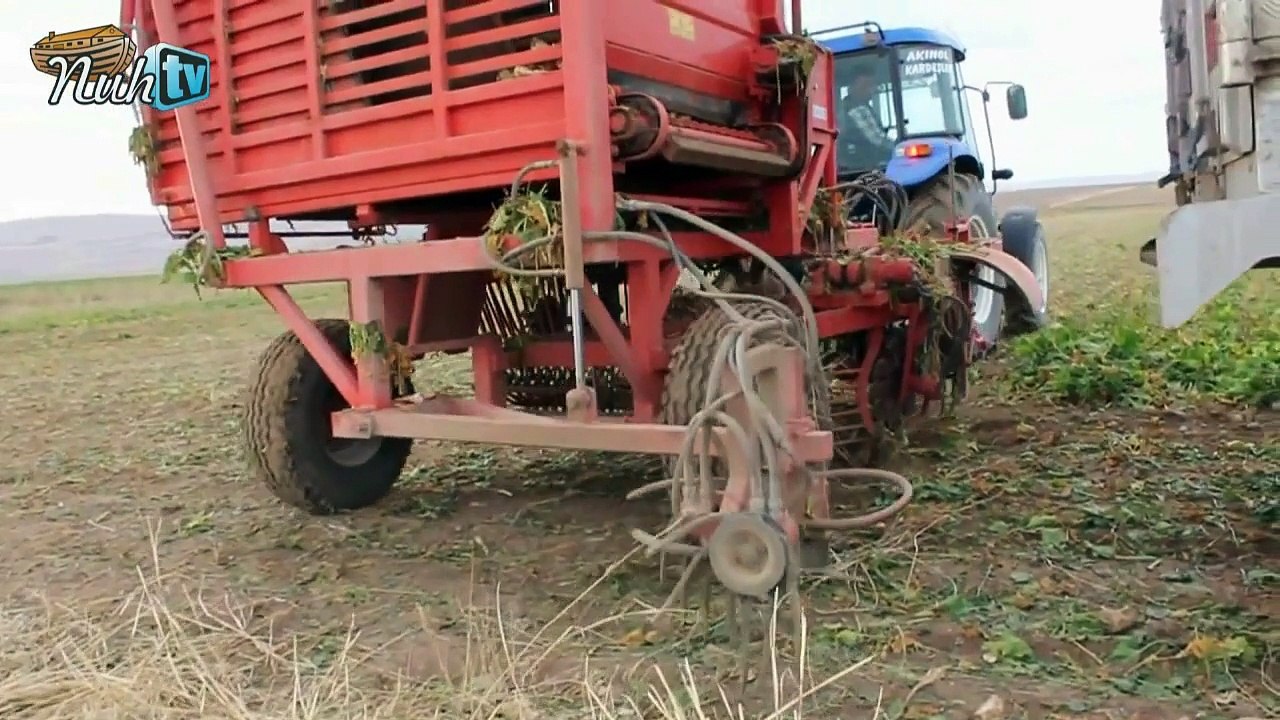 Ağrı Şeker Fabrikası Kapatılıyormu