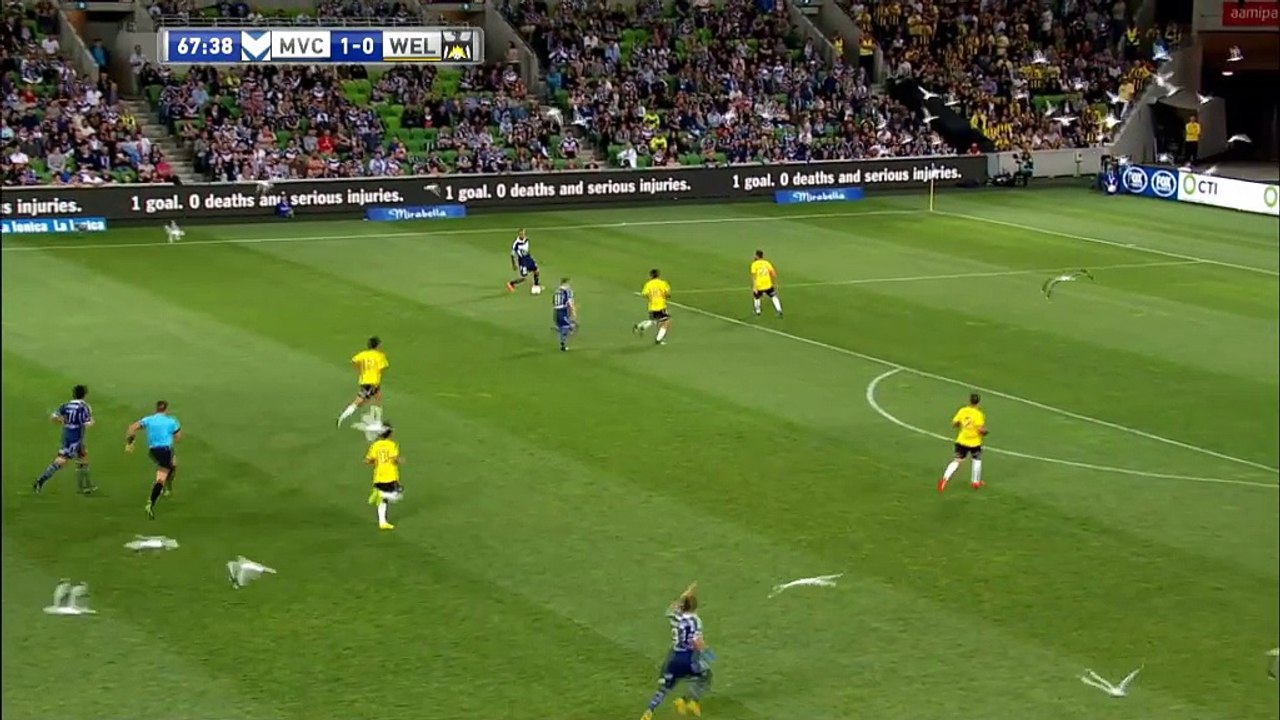 A-League: Vogelwild! Tor trotz Möwenschwarm