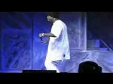 Up In Smoke Tour - WC Crip Walk