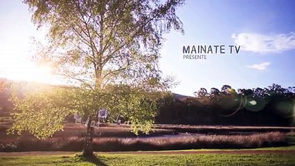 Reportage Gilbert Mullon dessinateur, peintre et bénévole du Fifo