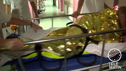 Bientôt un vaccin contre la dengue