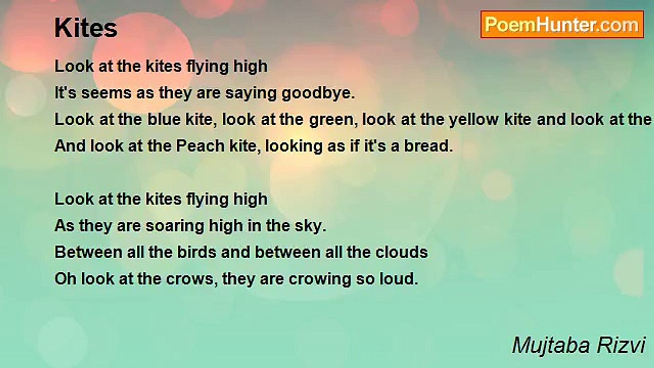 Mujtaba Rizvi - Kites