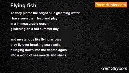 Gert Strydom - Flying fish