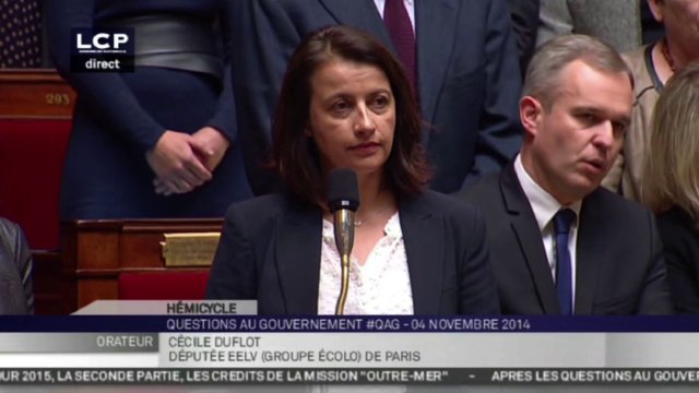 Mort de Rémi Fraisse : la minute de silence de Cécile Duflot interdite à l'Assemblée