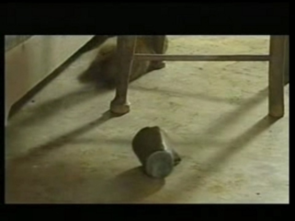 தமிழ் Mookkupeni
