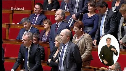 Cécile Duflot demande en vain une minute de silence à l'Assemblée en hommage à Rémi Fraisse