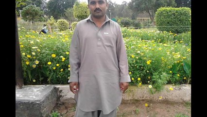 keda changa hai niky bal wady  Ashraf Achoo