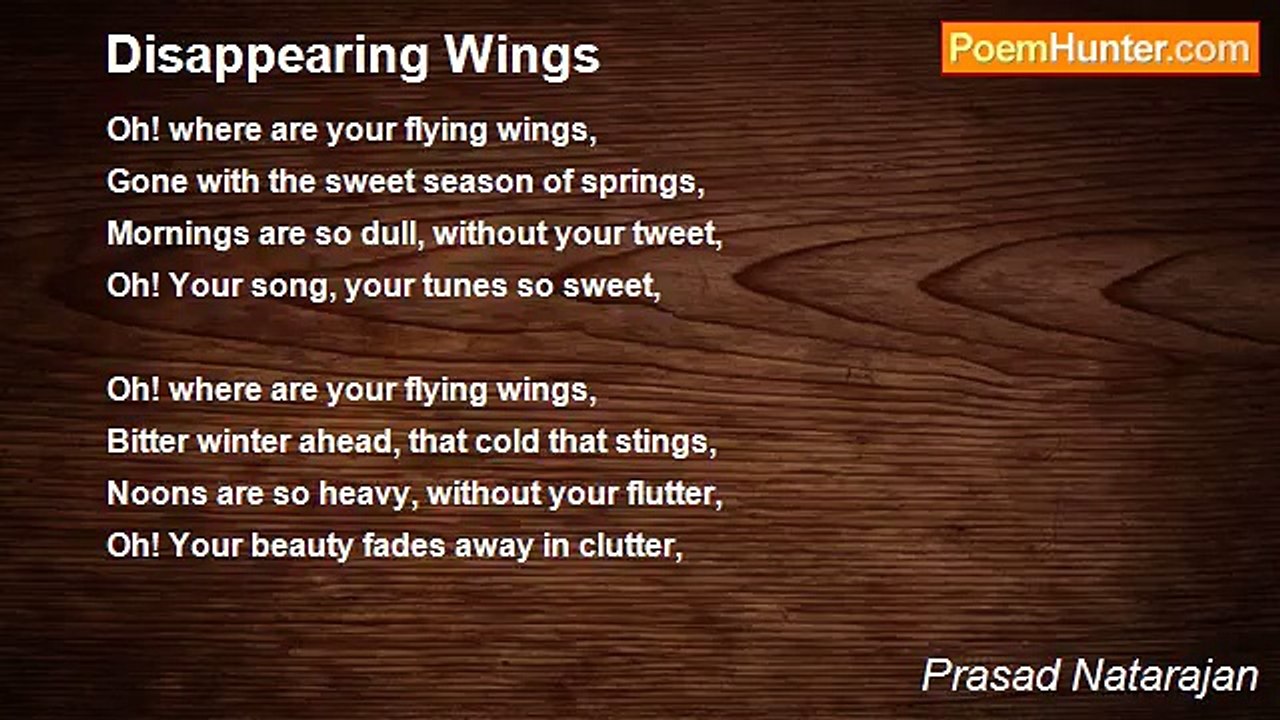 Prasad Natarajan - Disappearing Wings