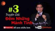 Đếm Những Mảnh Tình 3 - Truyện Dài Nguyễn Ngọc Ngạn