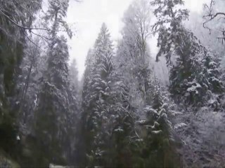 ELDEREWIND - Deep Cold from THROUGH the OCEAN to the STARS ( Split ) 2014 Album