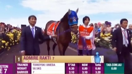 Protectionist Triumphs at 2014 Melbourne Cup Amid Tragedy 🏇