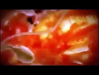 creation of human by allah amazing must watch......