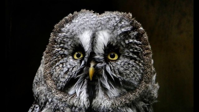 Рижский зоопарк ( часть 1 )