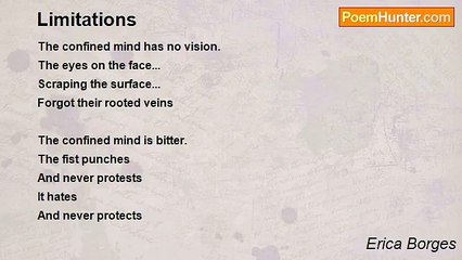 Erica Borges - Limitations