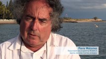 Campagne REMMOA Nouvelle-Calédonie - Les mammifères marins, témoins du milieu