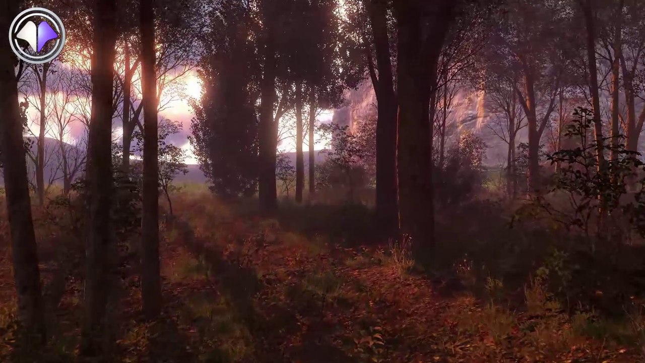 Interview Nadéo - PGW 2014