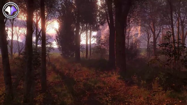 Interview Nadéo - PGW 2014