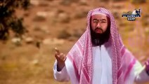 الشيخ نبيل العوضى - السيرة النبوية - الحلقة 4 _ 30 -