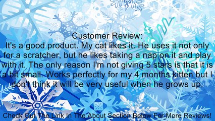 North American Pet Products Cat Lounge, Small Review