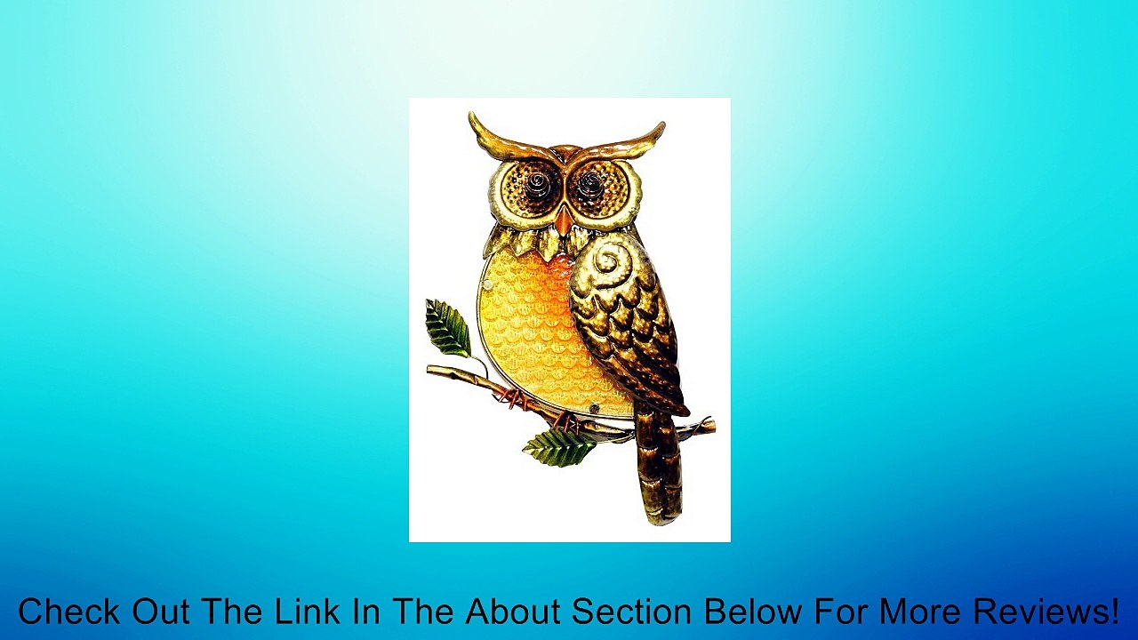 12" x 16" Metal & Glass Owl Garden Yard Wall Decor Plaque Review