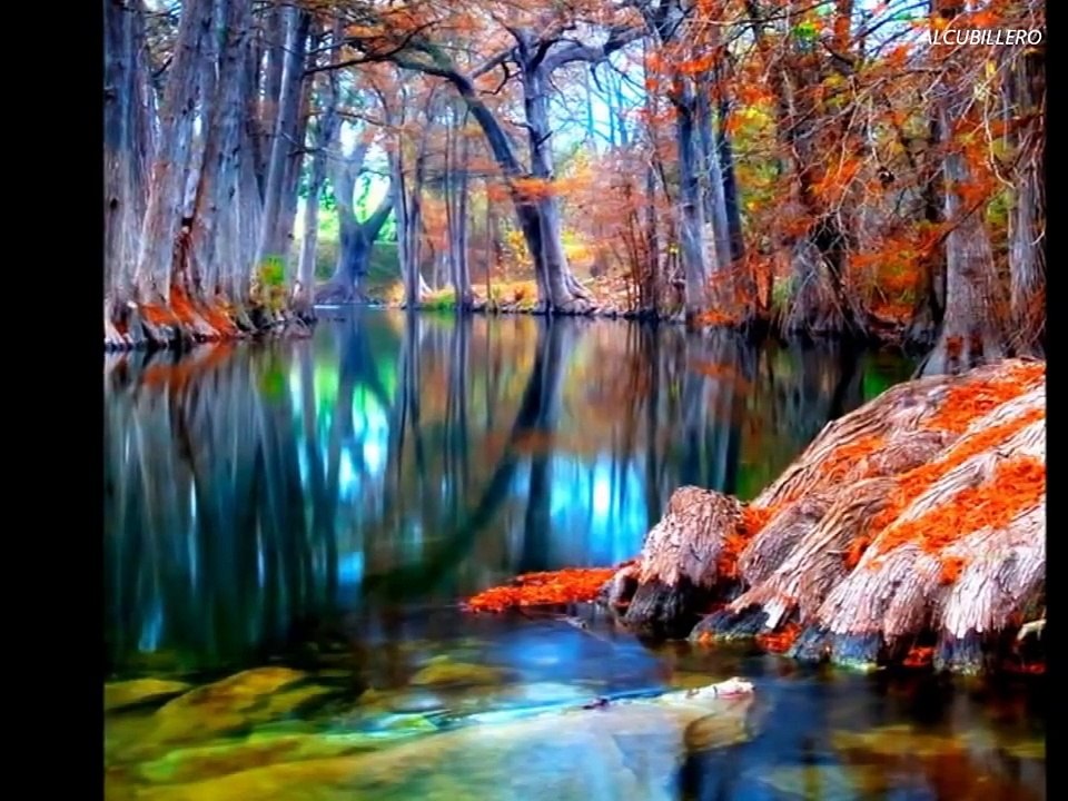 MIGUEL  RIOS    EL RIO