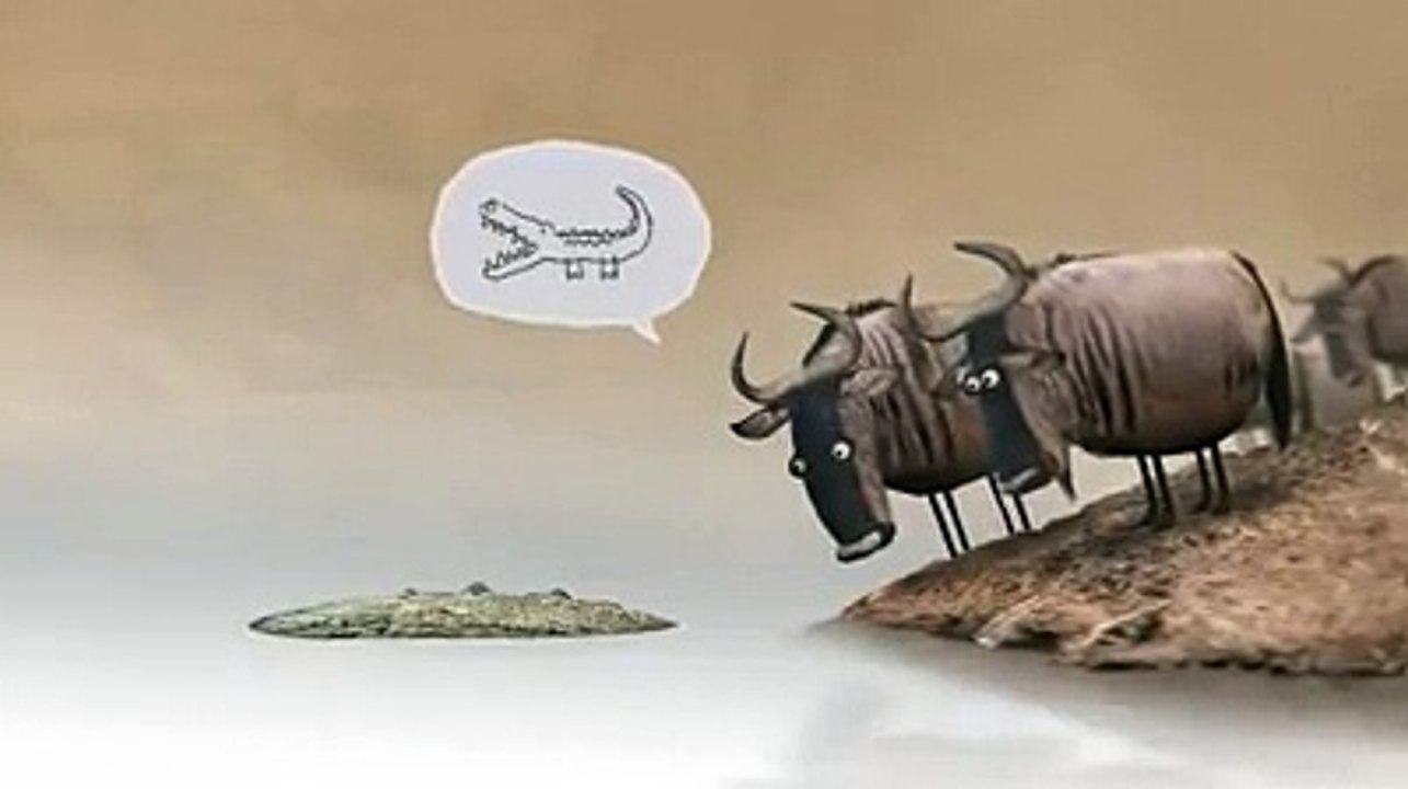 Funny Animation