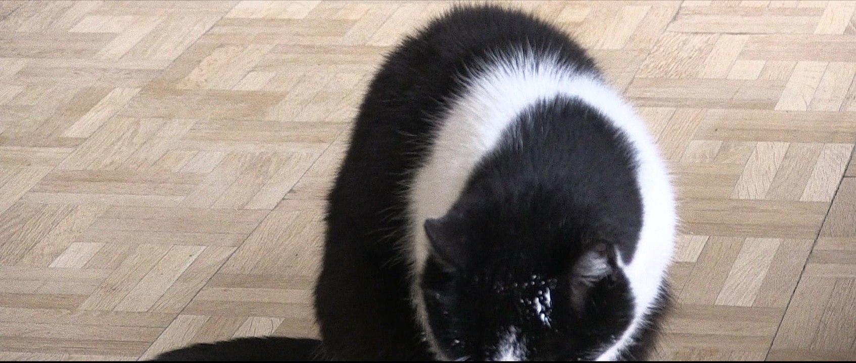Whisky et le pôt de crême