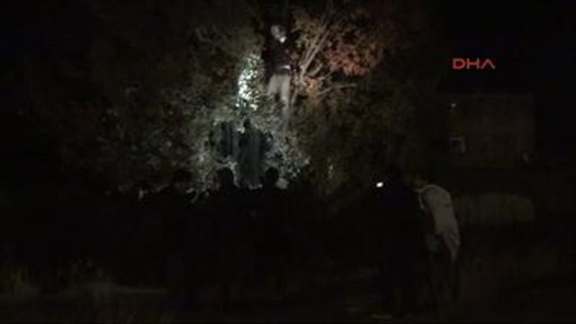 Bitlis Başına Poşet Geçirilerek Ağaca Asılan Cansız Manken, Polisi Alarma Geçirdi