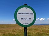 LE SENTIER DE DECOUVERTE DU BALLON D'ALSACE