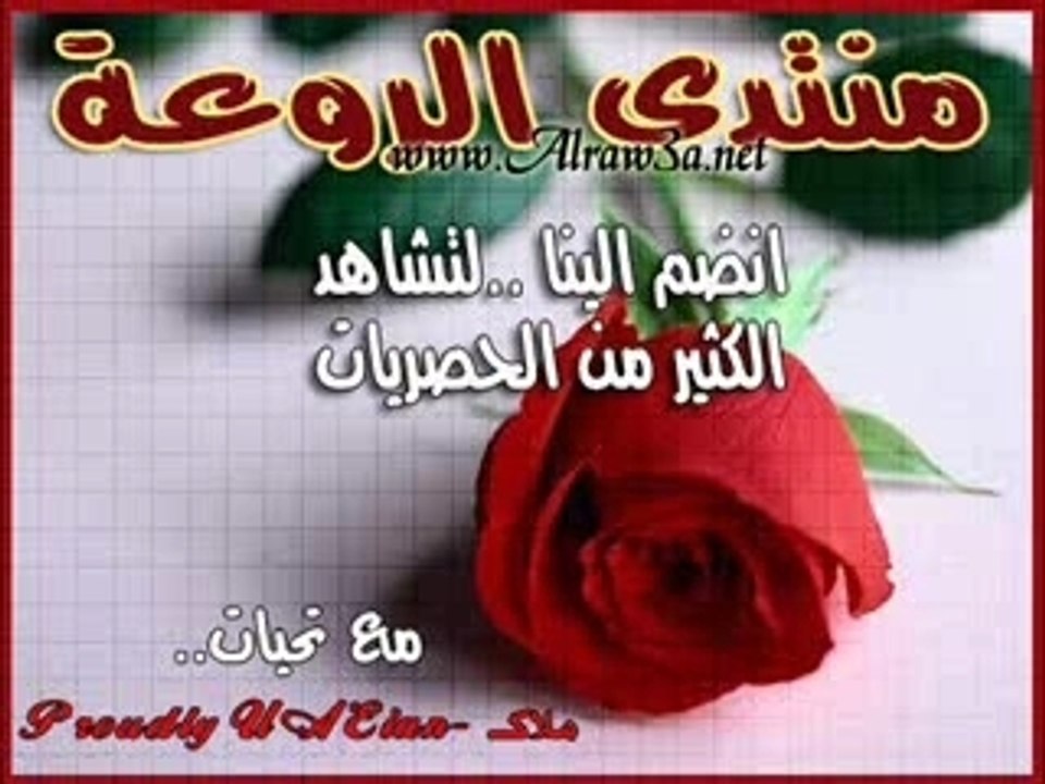 imed show pictures star academy 4 starac