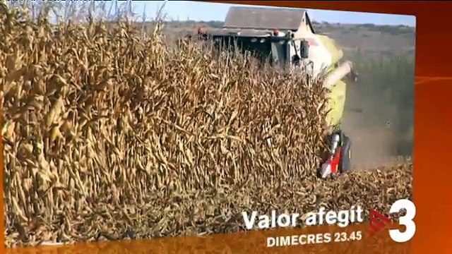 TV3 - Dimecres, 23.45, a TV3 - Conreus globals, conreus locals , a Valor afegit