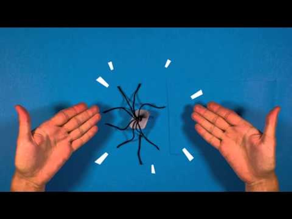 BayaM - Activités : Comment faire une araignée des glaces ?