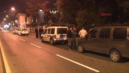 Bebek'te Yaban Domuzu Yalının Bahçesine Girdi