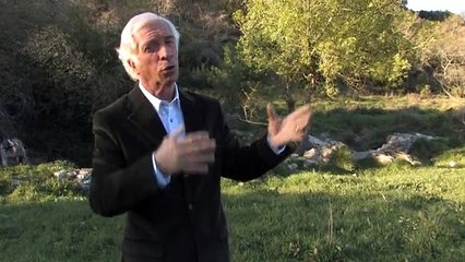 Reis de Portugal - 30 - D.Miguel - Parte #2