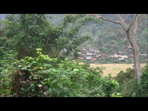 Ba Be Lake Tour, Ba Be National Park Tours