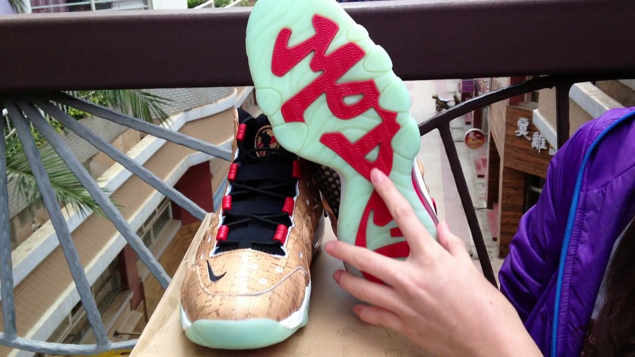 Nike Barkley Posite Max Shoes www.kicksgrid.cn