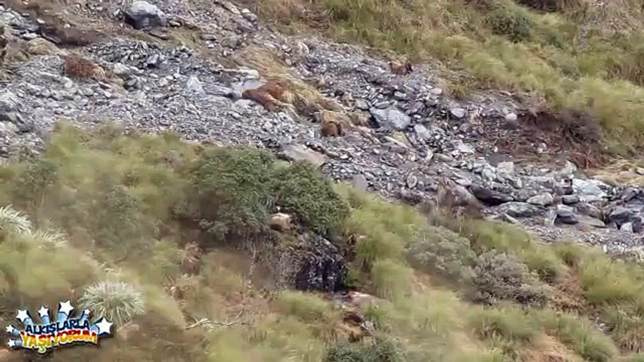 Turn Off Your Light  Plug In Your Headset  And Watch This Short Without Looking Anywhere