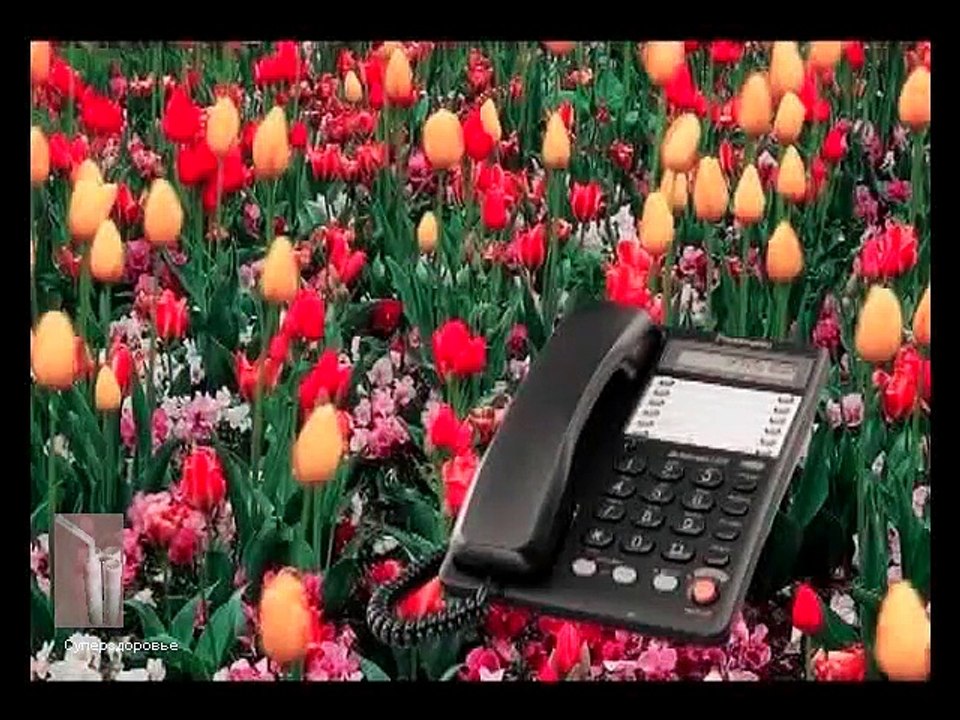 Давление артериальное (Отзывы Суперздоровье, Самоздрав)