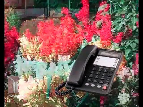 Давление, аритмия (Отзывы Суперздоровье)