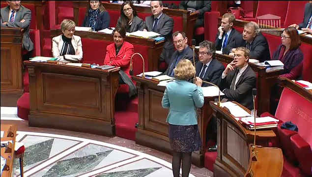 Intervention d'Hervé Féron en Commission des Affaires Culturelles et de l'Education : PLF 2015 - question à la Ministre de l'Enseignement Supérieur
